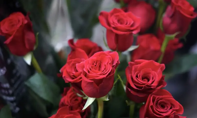 Георги Матеев: Осми март не е ден на мама, а на геноцида - Tribune.bg