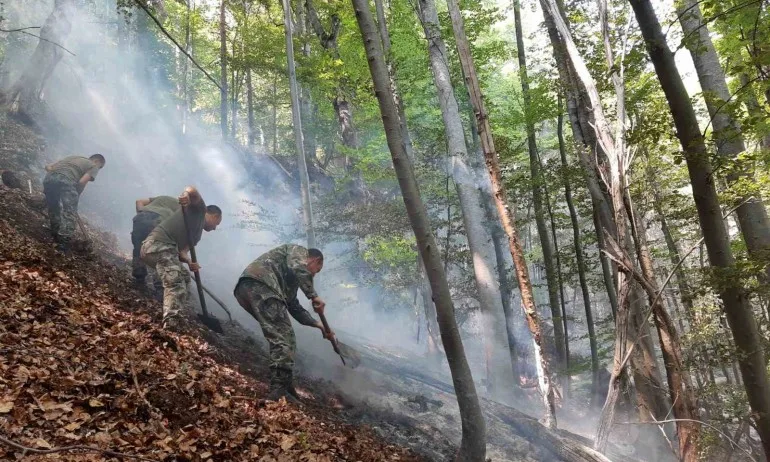 Дъждът потуши пламъците над Югово, пожарът е локализиран - Tribune.bg
