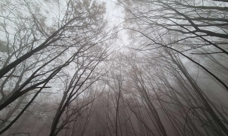 Дъждовна събота, температурите ще бъдат между 9 и 14 градуса - Tribune.bg