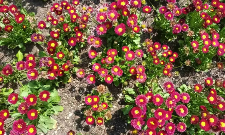 Слънчев и топъл Великден обещават синоптиците - Tribune.bg