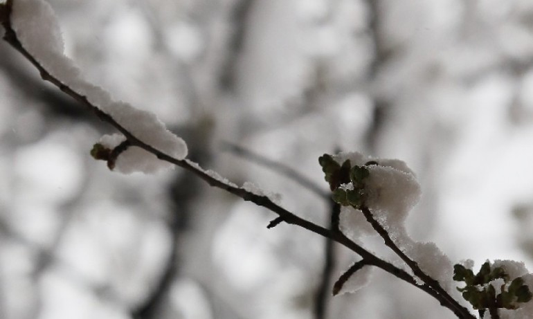 Остава облачно и студено - Tribune.bg
