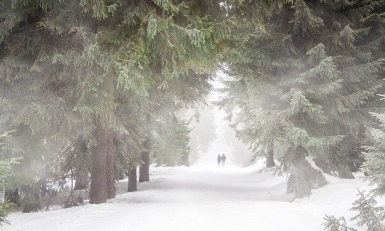 Днес е най-студената януарска сутрин с температури до минус 11 градуса - Tribune.bg