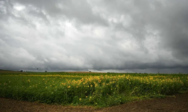 Колко трябва да спи всеки зодиакален знак - Tribune.bg