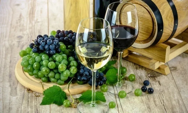 България изнася 64 млн. литра вино годишно - Tribune.bg