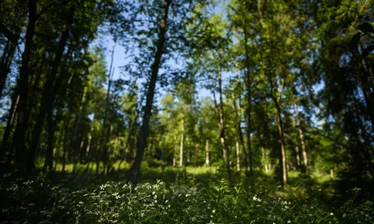 Разрешителните за лов влизат в публичен регистър - Tribune.bg