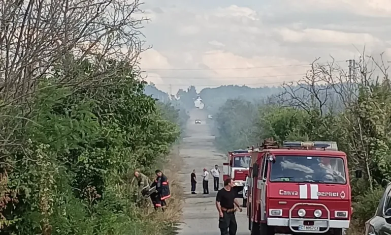 Голям пожар гори в Сакар планина между три села (ОБНОВЕНА+СНИМКИ) - Tribune.bg