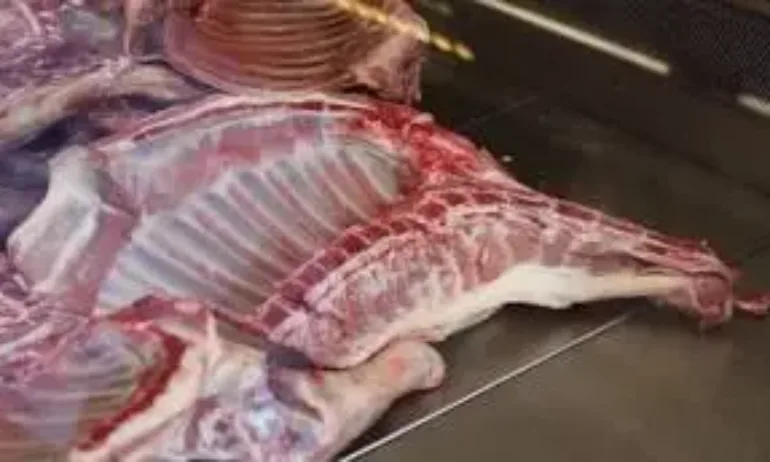 Владимир Иванов, ДКСБТ: Агнешкото е на цените от миналата година - Tribune.bg