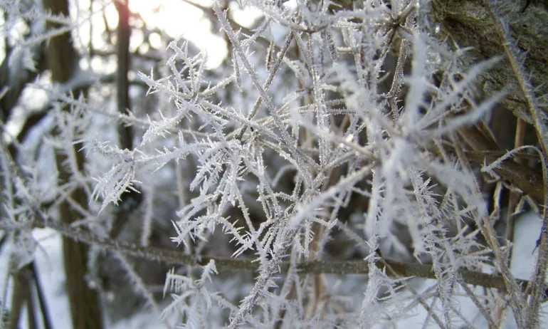 Екстремен студ: В Якутск отчетоха -45°C - Tribune.bg