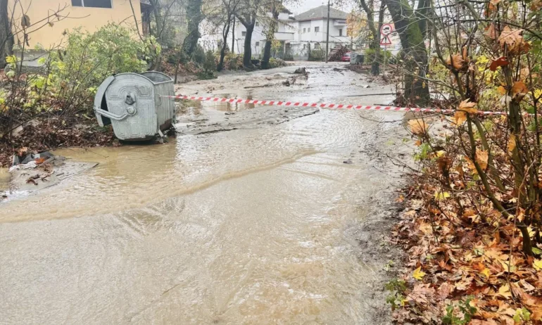 Щетите са тотални, няма нищо здраво, Поройните дъждове отнесоха реколтата в Югозападна България - Tribune.bg