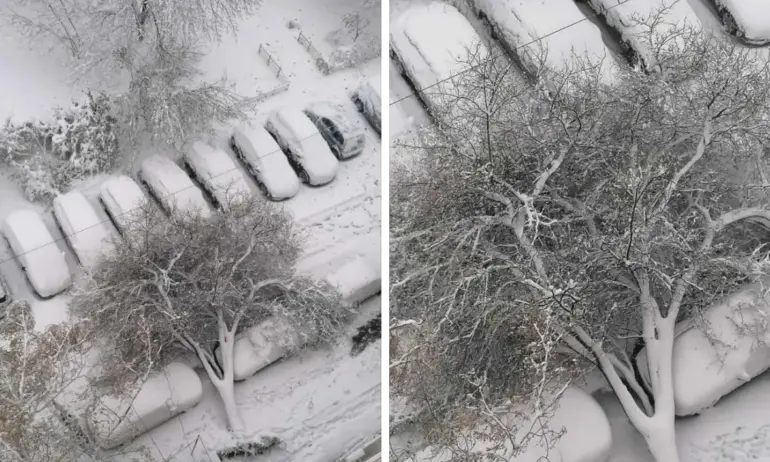 Бедствено положение в десетки общини - Tribune.bg