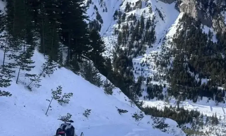 Спасиха семейство, изпаднало в беда, в прироредн парк Сините камъни - Tribune.bg