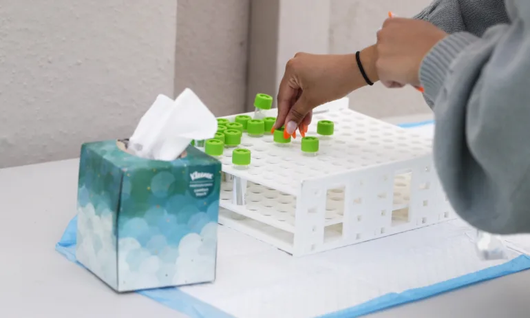 183 са новите случаи на коронавирус у нас, няма починали - Tribune.bg