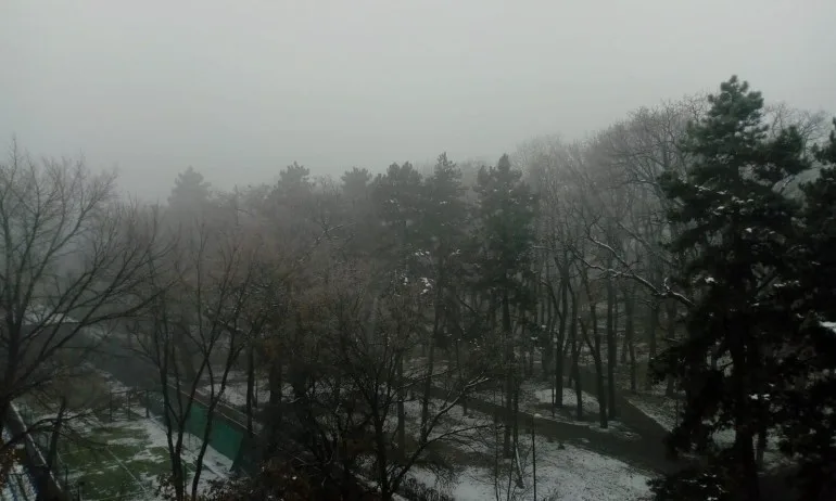 Въвеждат се норми за съдържание на сяра, пепел и влага в твърдите горива за бита - Tribune.bg