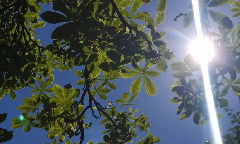 Затоплянето продължава, градусите се покачват - Tribune.bg