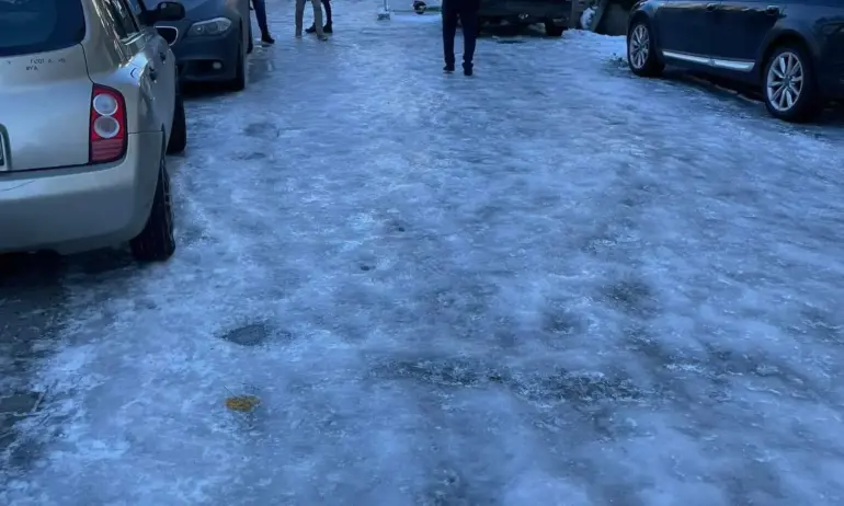 Последният наистина голям сняг беше през 2012 г., Борисов и Фандъкова лично звъняха, сутринта София беше излизана - Tribune.bg