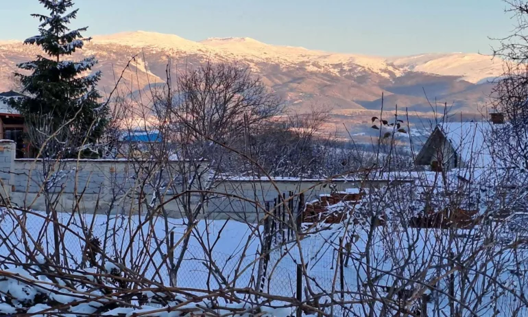 Продължава разчистването на паднали дървета по пътя до хижа Алеко - Tribune.bg