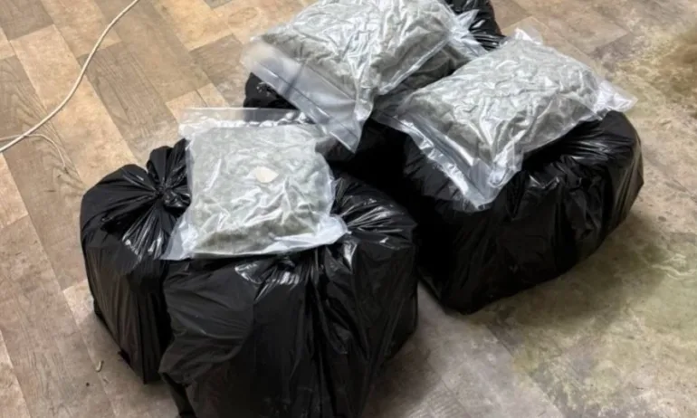 Гранична полиция разкри модерна наркооранжерия в частен дом - Tribune.bg