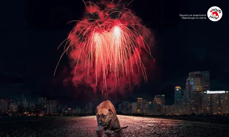 ЧЕТИРИ ЛАПИ напомня: Зарята и пиратките представляват сериозна опасност за всички животни и за околната среда - Tribune.bg