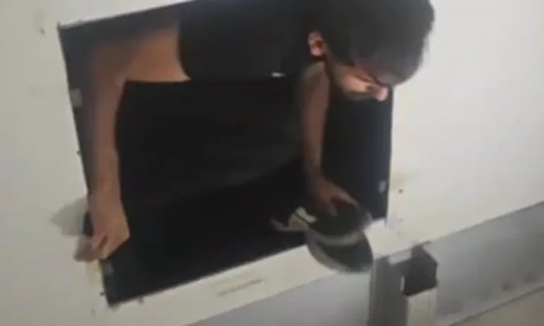 Гранична полиция разкри тайник с 16 мигранти в хладилен камион (СНИМКИ) - Tribune.bg