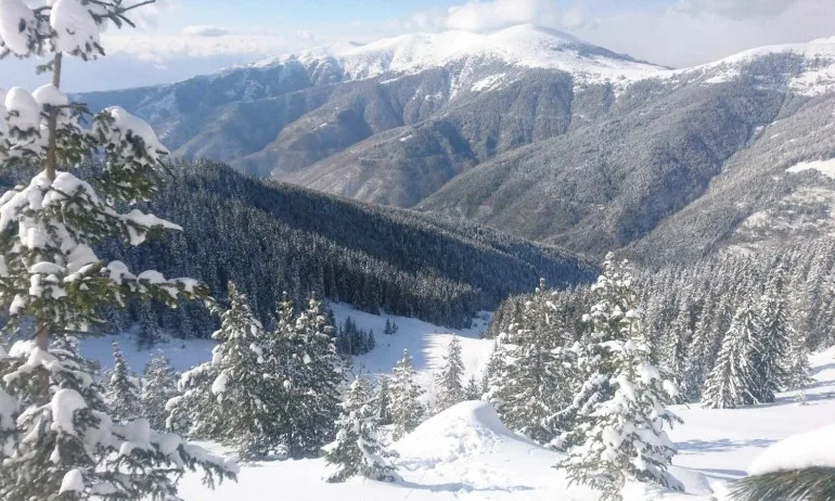 Без успех и на днешната акция по издирване на изчезналия сноубордист в Рила - Tribune.bg