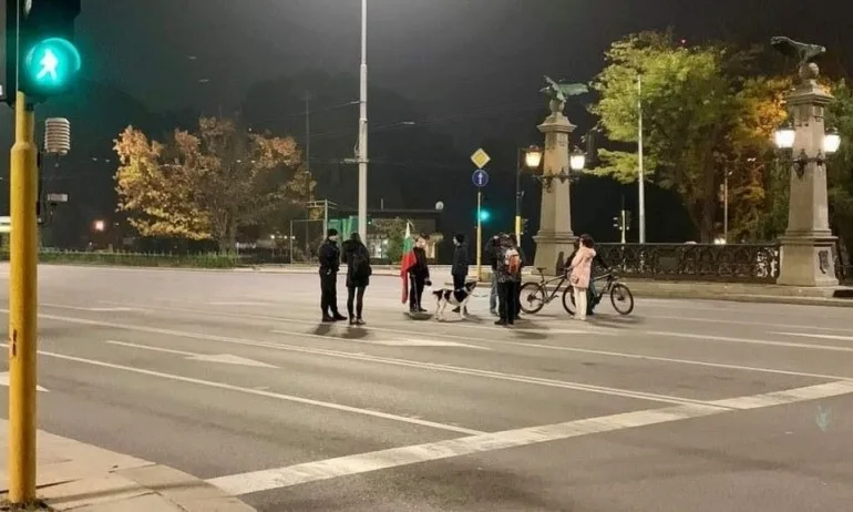 Народът окупира Орлов мост – 9 човека и едно куче - Tribune.bg