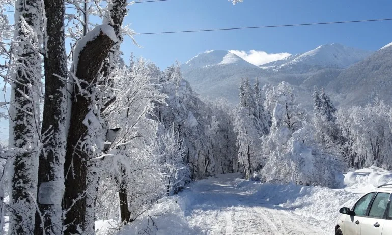 Настъпва астрономическата зима - Tribune.bg