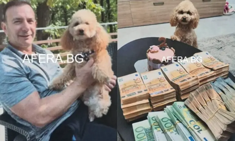 Бойко Рашков и Живко Коцев си делкат дебели пачки в компанията на контрабандист - Tribune.bg