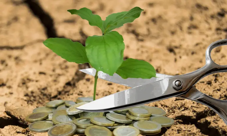 Димитър Събев: Данъците ни са неадекватни на разходите. Държавният дълг ще достигне 35% от БВП до 2028 г. - Tribune.bg