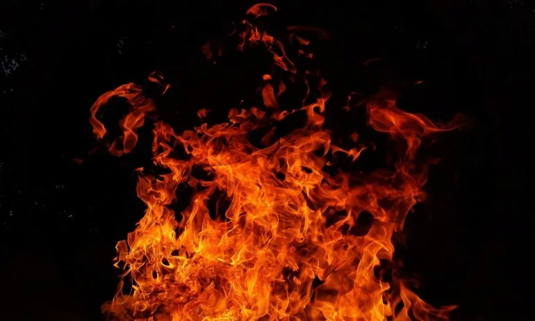 Трима в критично състояние след пожар във ферма в Кюстендилско - Tribune.bg