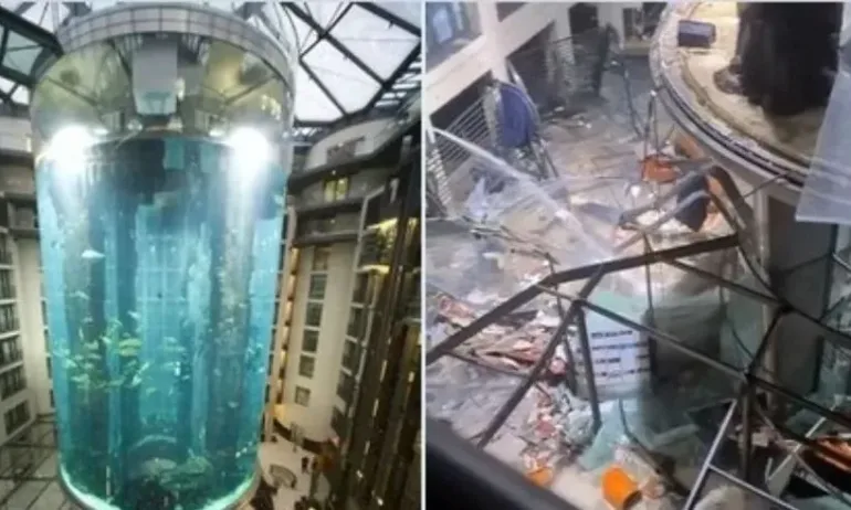 Най-големият цилиндричен аквариум в света се пръсна – изляха се милиони литри вода и 1500 риби (ВИДЕО) - Tribune.bg