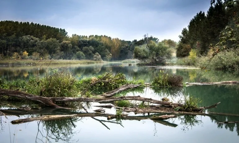 Продължават да търсят майка и 8-месечното ѝ бебе в Дунав - Tribune.bg