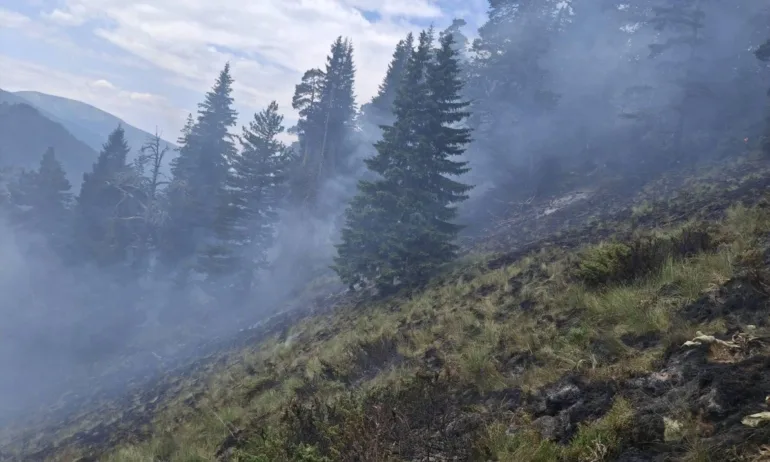 Пожарът в Рила е локализиран - Tribune.bg
