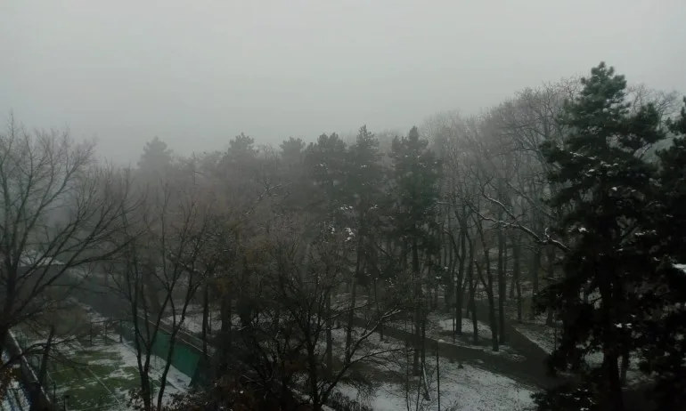 Мръсен въздух! Безплатен паркинг за всеки, който остави колата днес - Tribune.bg