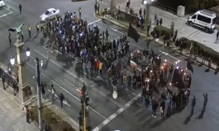 И Зелените яхват протеста на майките - Tribune.bg