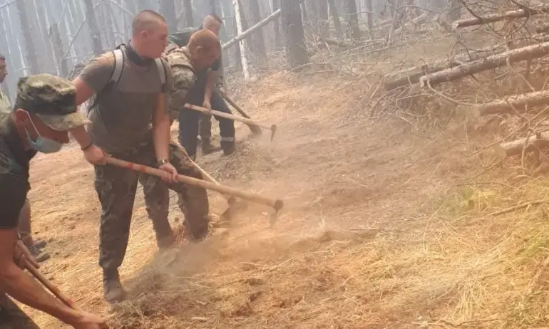 Овладени са пожарите в Източните Родопи между Свирачи и Орешино - Tribune.bg