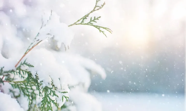 Студен фронт преминава през България: Оранжев код за обилни валежи в Кърджали, жълт код важи за 17 области - Tribune.bg