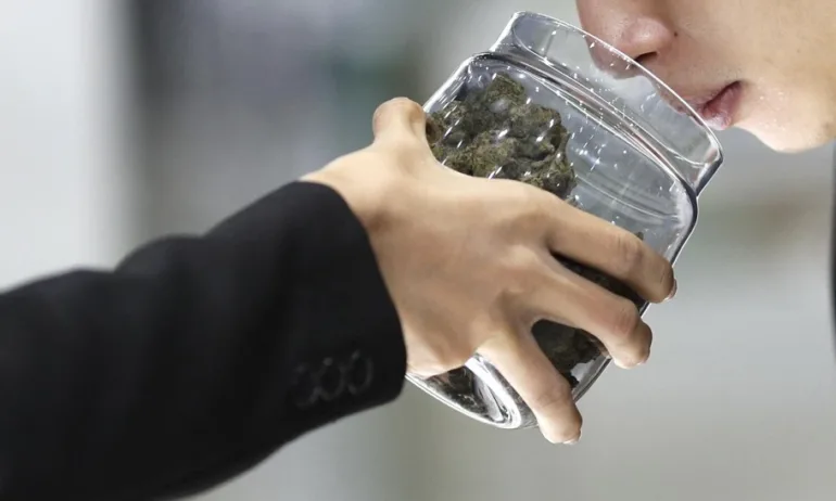 САЩ облекчават достъпа до медицински канабис - Tribune.bg