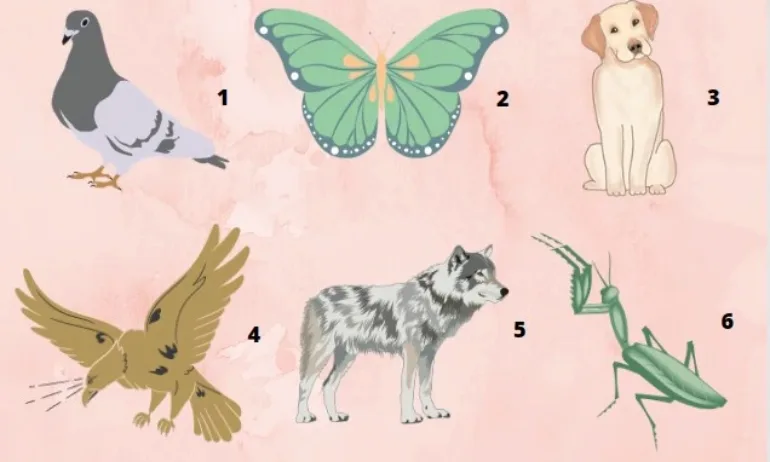 Каква е същността на вашата душа? - тест - Tribune.bg