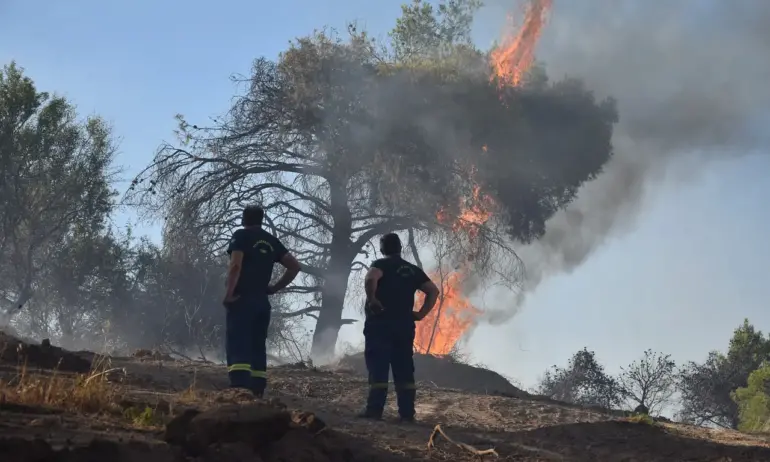 Глобалното затопляне за първи път премина ключовия праг от 1,5° по Целзий за цяла година - Tribune.bg