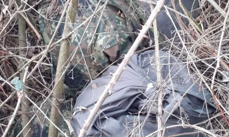 Гранични полицаи откриха наркотици за 5,5 милиона лева в храсти край Свиленград - Tribune.bg
