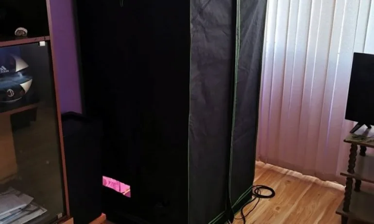 Бургазлия гледа канабис в мобилен гардероб в хола си - Tribune.bg