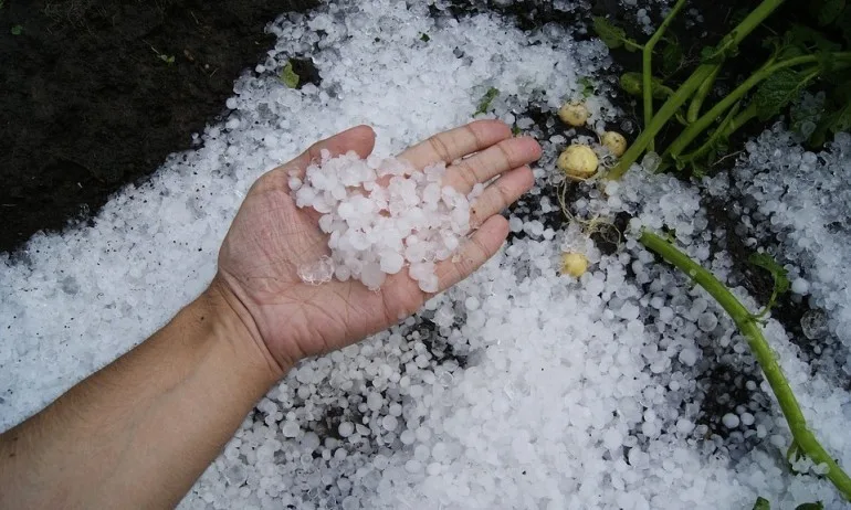 Ураганен вятър и градушка в Свищовско нанесоха големи щети - Tribune.bg