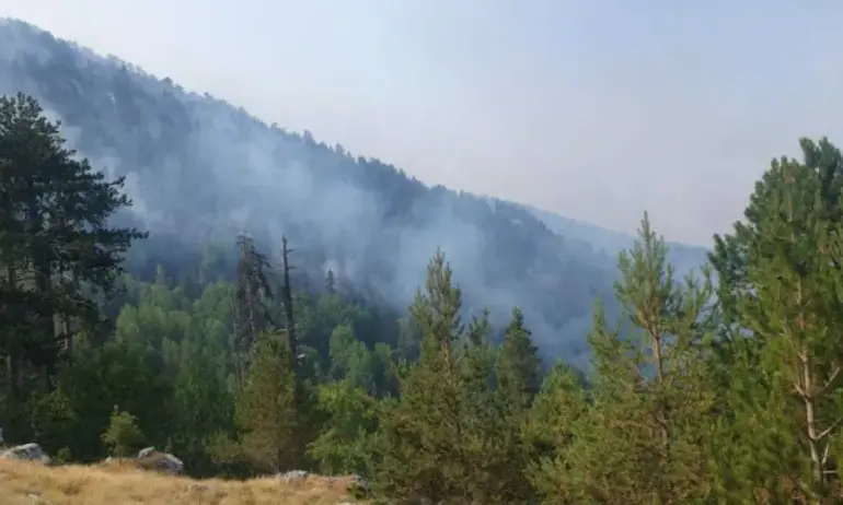 20 военни гасят в местността Байрамица, Ми-17 облива с вода от въздуха - Tribune.bg