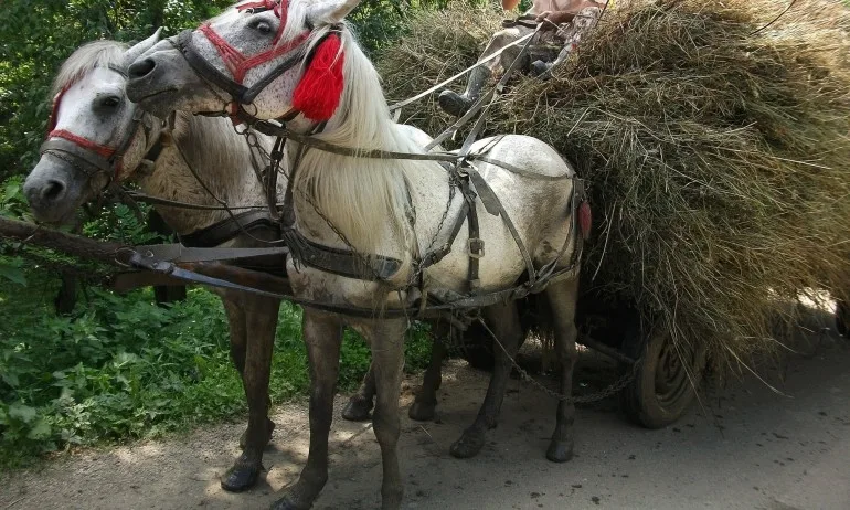 Казанлък на протест срещу ромските каруци - Tribune.bg