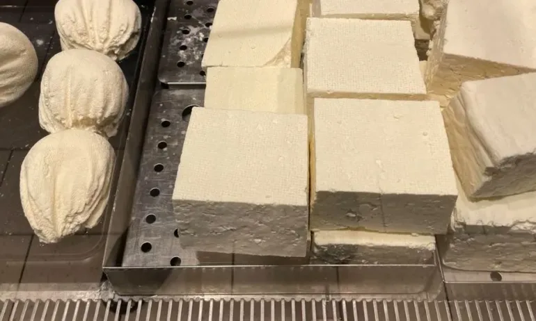 След изследване: 1 от 5 овчи сирена са направени само от овче мляко, останалите са смес - Tribune.bg