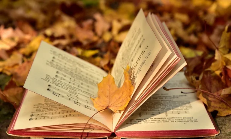 Звукова гимнастика за почистване на горните чакри - Tribune.bg