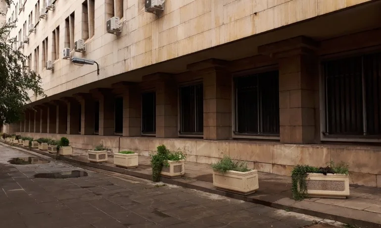 Елена Фичерова напуска поста началник на кабинета на Бойко Рашков - Tribune.bg