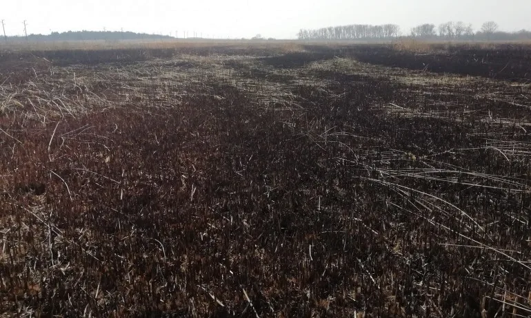 Екоминистърът лично ще провери ситуацията с Шабленското езеро - Tribune.bg