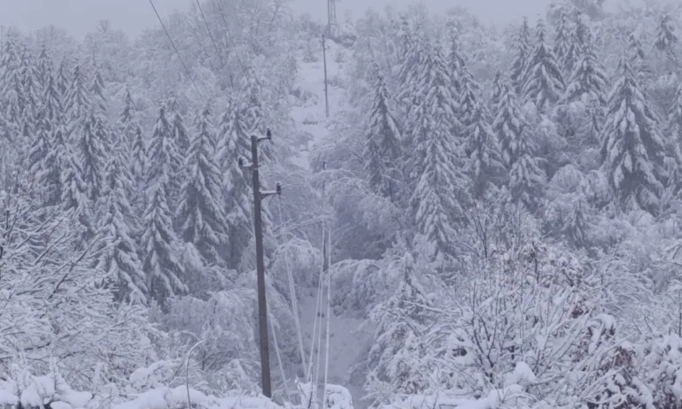 Пуснаха тока на голяма част от засегнатите места в Западна България, обстановката остава усложнена - Tribune.bg