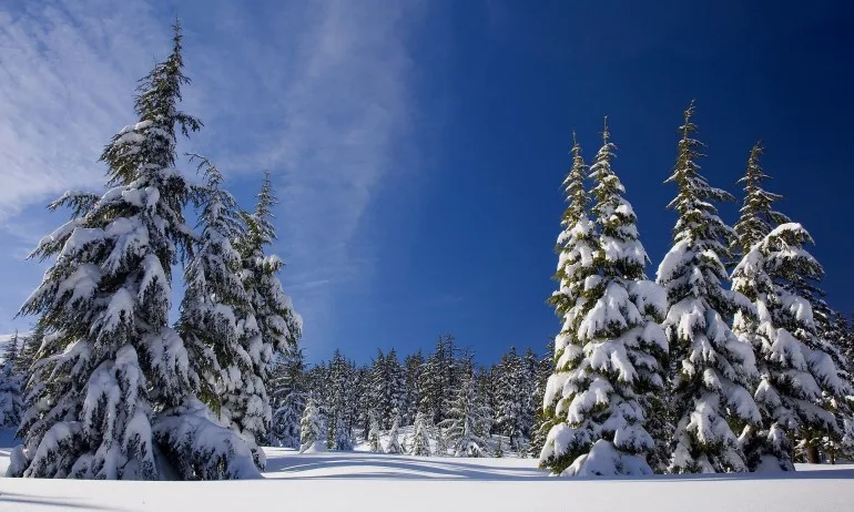 След сковаващите студове в началото на декември – каква зима ни очаква? - Tribune.bg